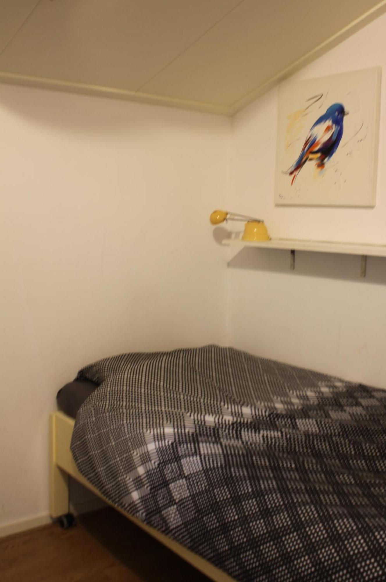 Boerenkiel Vakantiehuisjes De Kiel 外观 照片